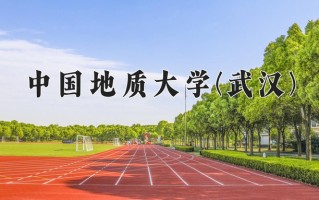 2024年中国地质大学(武汉)录取分数线，青海最低450分