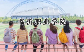 2024临沂职业学院录取分数线：河南最低282分
