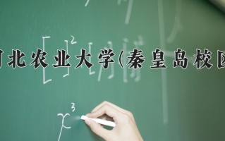河北农业大学(秦皇岛校区)学费多少钱一年：4600-5390元/年（2025填报参考）