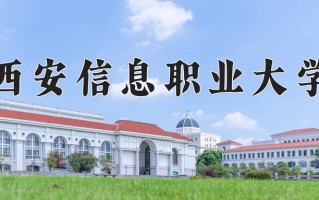 2024年西安信息职业大学录取分数线，新疆最低177分