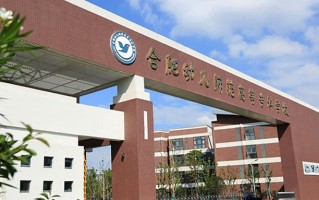 2024年合肥幼儿师范高等专科学校录取分数线，河北最低387分