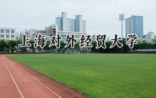 2024上海对外经贸大学录取分数线：天津最低595分