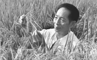 2026国考申论热点：禾下乘凉梦 一梦逐一生