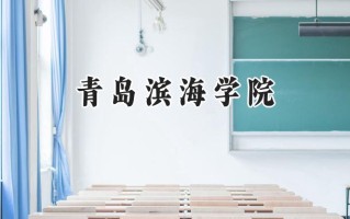 青岛滨海学院2024在山东录取分数线是多少？最低150分/最高494分