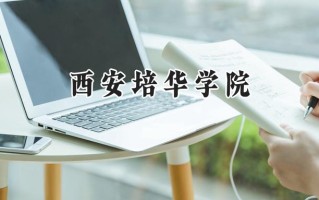 2024西安培华学院录取分数线：陕西最低369分