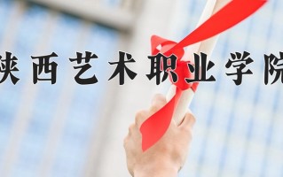 2024年陕西艺术职业学院录取分数线，新疆最低178分