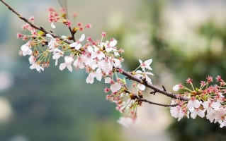 石河子大学近三年在河南录取分数线(含2021-2023最低分)