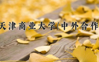2024年天津商业大学(中外合作)录取分数线，新疆最低419分