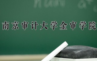 2024年南京审计大学金审学院录取分数线，宁夏最低416分