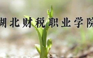 2024湖北财税职业学院录取分数线：浙江最低421分