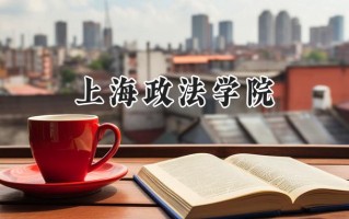 2024上海政法学院录取分数线：新疆最低393分