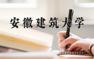 2024安徽建筑大学录取分数线：浙江最低490分