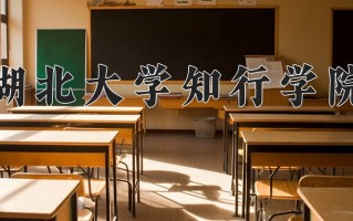 2024湖北大学知行学院录取分数线：浙江最低479分