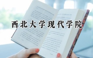 2024西北大学现代学院录取分数线：陕西最低384分