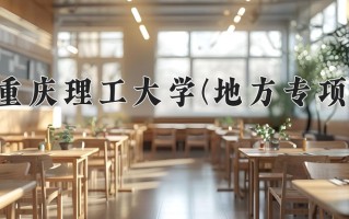2024重庆理工大学(地方专项)录取分数线，重庆录取最低分512