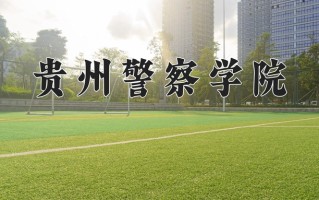 2024贵州警察学院录取分数线，重庆录取最低分523