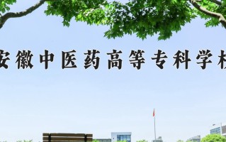 2024年安徽中医药高等专科学校录取分数线，内蒙古最低294分