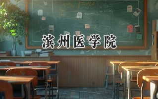 滨州医学院2024在福建录取分数线是多少？最低470分/最高532分