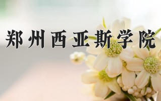 2024年郑州西亚斯学院录取分数线，宁夏最低392分