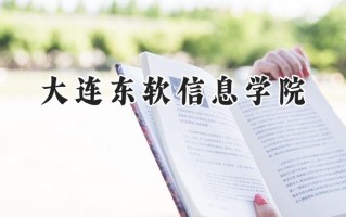 大连东软信息学院2024在内蒙古录取分数线是多少？最低319分/最高417分