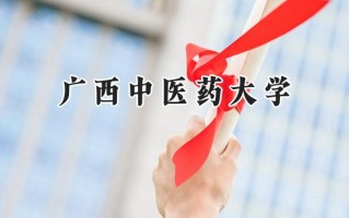 广西中医药大学2024在浙江录取分数线是多少？最低480分/最高620分