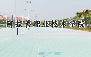 阿拉善职业技术学院2024在青海录取分数线是多少？最低167分/最高266分