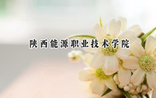 2024陕西能源职业技术学院录取分数线：江苏最低295分