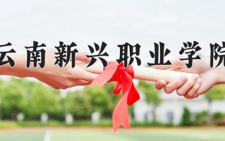 云南234分能上什么大学？附2025年可以报考的大学名单