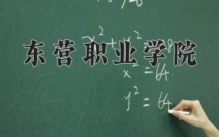 2024年东营职业学院录取分数线，新疆最低202分