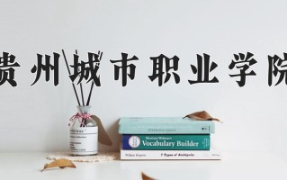 2024贵州城市职业学院录取分数线，重庆录取最低分180