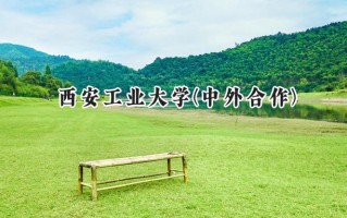 2024西安工业大学(中外合作)录取分数线：河南最低565分