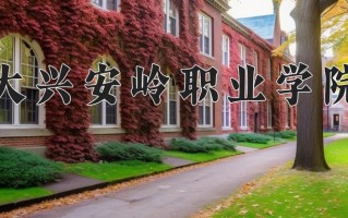 2024年大兴安岭职业学院录取分数线，内蒙古最低208分