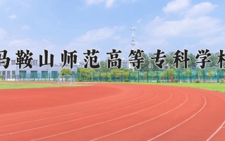 2024马鞍山师范高等专科学校录取分数线，重庆录取最低分369