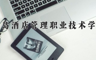 2024青岛酒店管理职业技术学院录取分数线：浙江最低414分