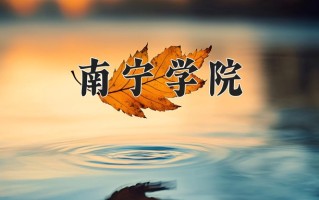 2024年南宁学院录取分数线，内蒙古最低363分
