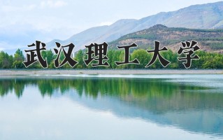 2024武汉理工大学录取分数线：浙江最低618分