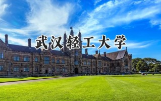 2024武汉轻工大学录取分数线：天津最低551分