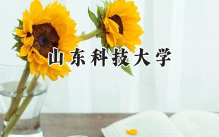 山东科技大学2024在浙江录取分数线是多少？最低490分/最高593分