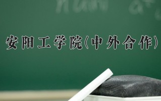 2024安阳工学院(中外合作)录取分数线，重庆录取最低分466