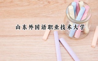 2024山东外国语职业技术大学录取分数线：河南最低186分