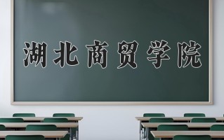 湖北商贸学院最厉害的专业-2024湖北商贸学院最好专业