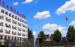 山东艺术设计职业学院学费多少钱一年：11900-15800元/年（2025填报参考）