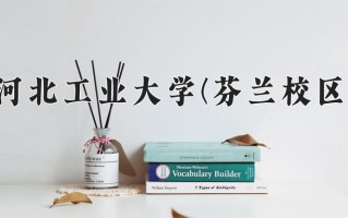2024年河北工业大学(芬兰校区)录取分数线，河北最低546分