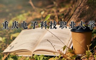 2024重庆电子科技职业大学录取分数线：浙江最低475分