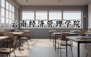 2024云南经济管理学院录取分数线：江苏最低310分