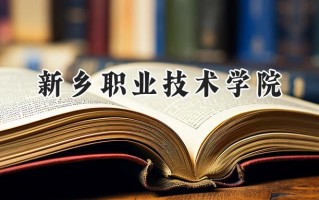 新乡职业技术学院2024在山东录取分数线是多少？最低424分/最高448分