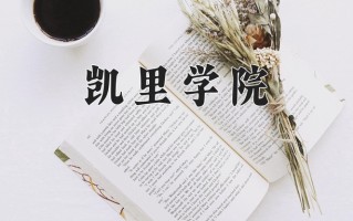 2024凯里学院录取分数线，重庆录取最低分490