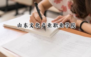 2024山东文化产业职业学院录取分数线：江苏最低238分