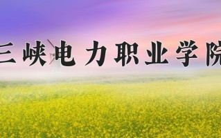2024三峡电力职业学院录取分数线：浙江最低426分