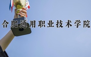 2024合肥通用职业技术学院录取分数线：浙江最低430分